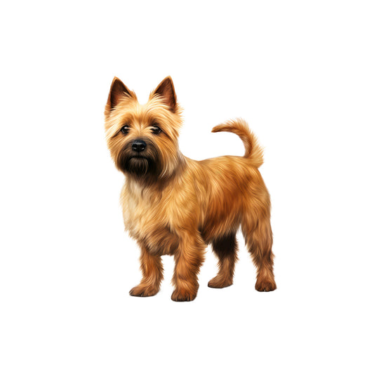 b2b0649abb0d3fbec0b21c3aa0d42112