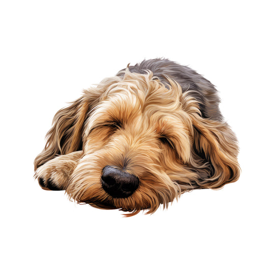 d4b0406286bc0a483852f47e940c4593