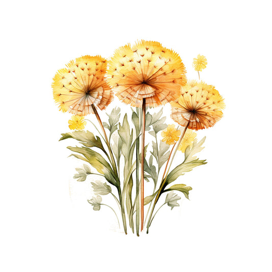 044ce4bcb2818a24e57b7356fff6b046