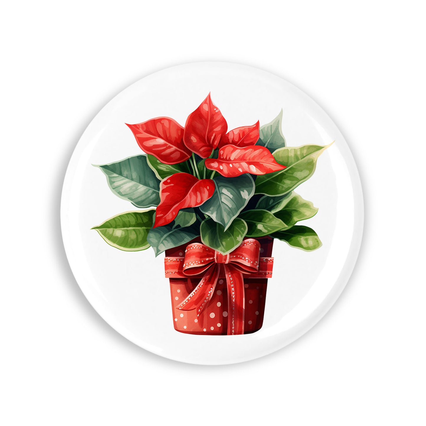 c7a48a13f2a6fc6e9f0da6ea1d209ae4