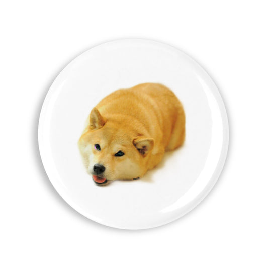 c499ac13f9a2b5b6648ddb43908db4e4