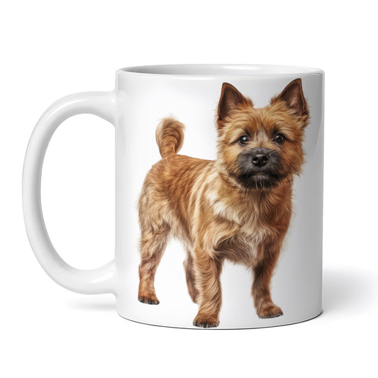 030b041a9a9d15581f92ec0638b5230d