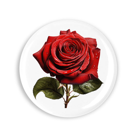 580c68ca314eca6c79247f139638cffc