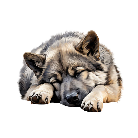 1e409336538c6747943c69769947f274