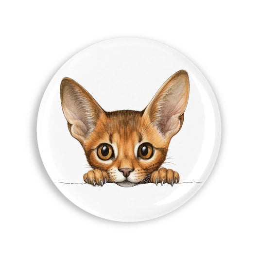 3b7ca2f84bc6ff05b5a45558e8b8940a