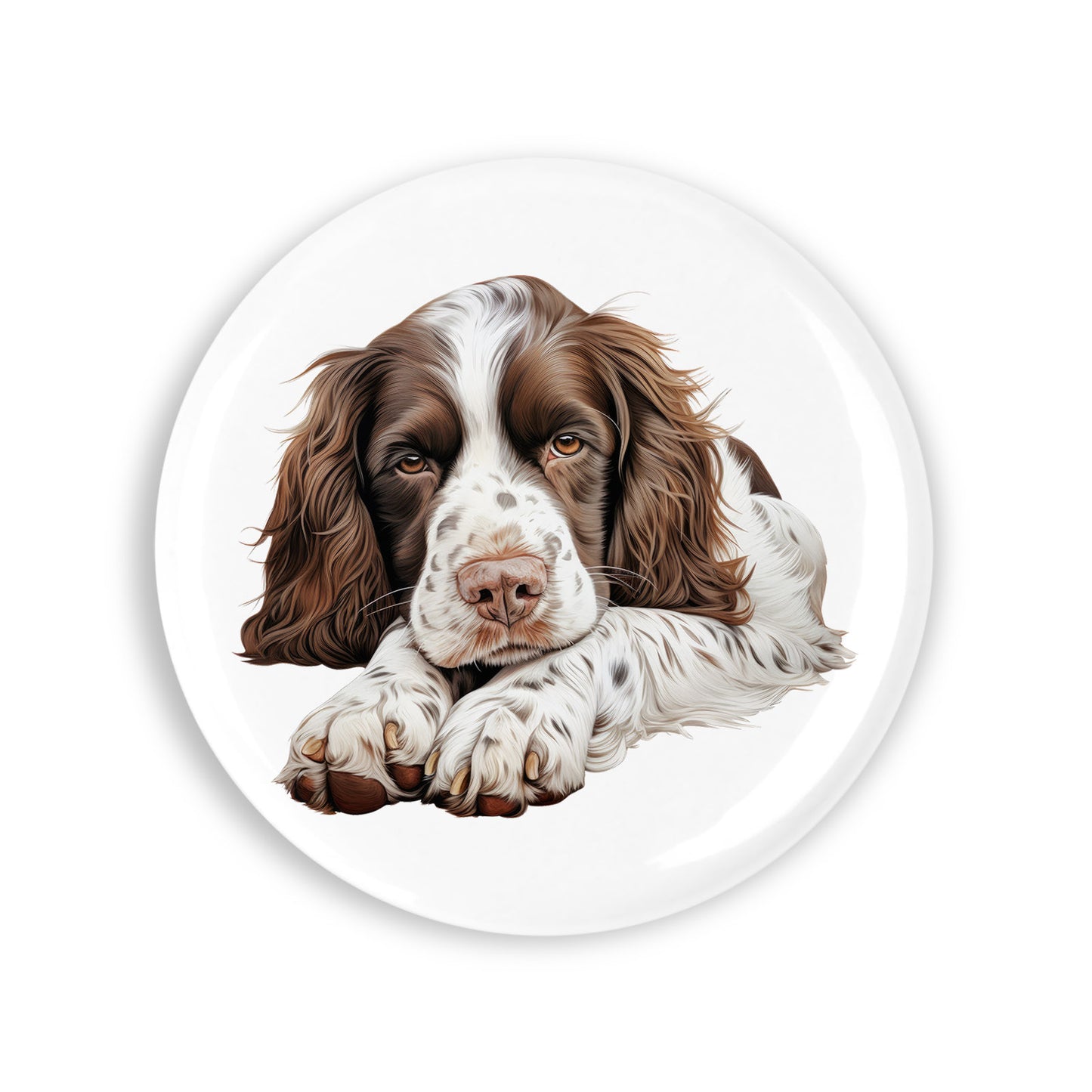 4847839a338c19f4cb27a4e54169e6b4