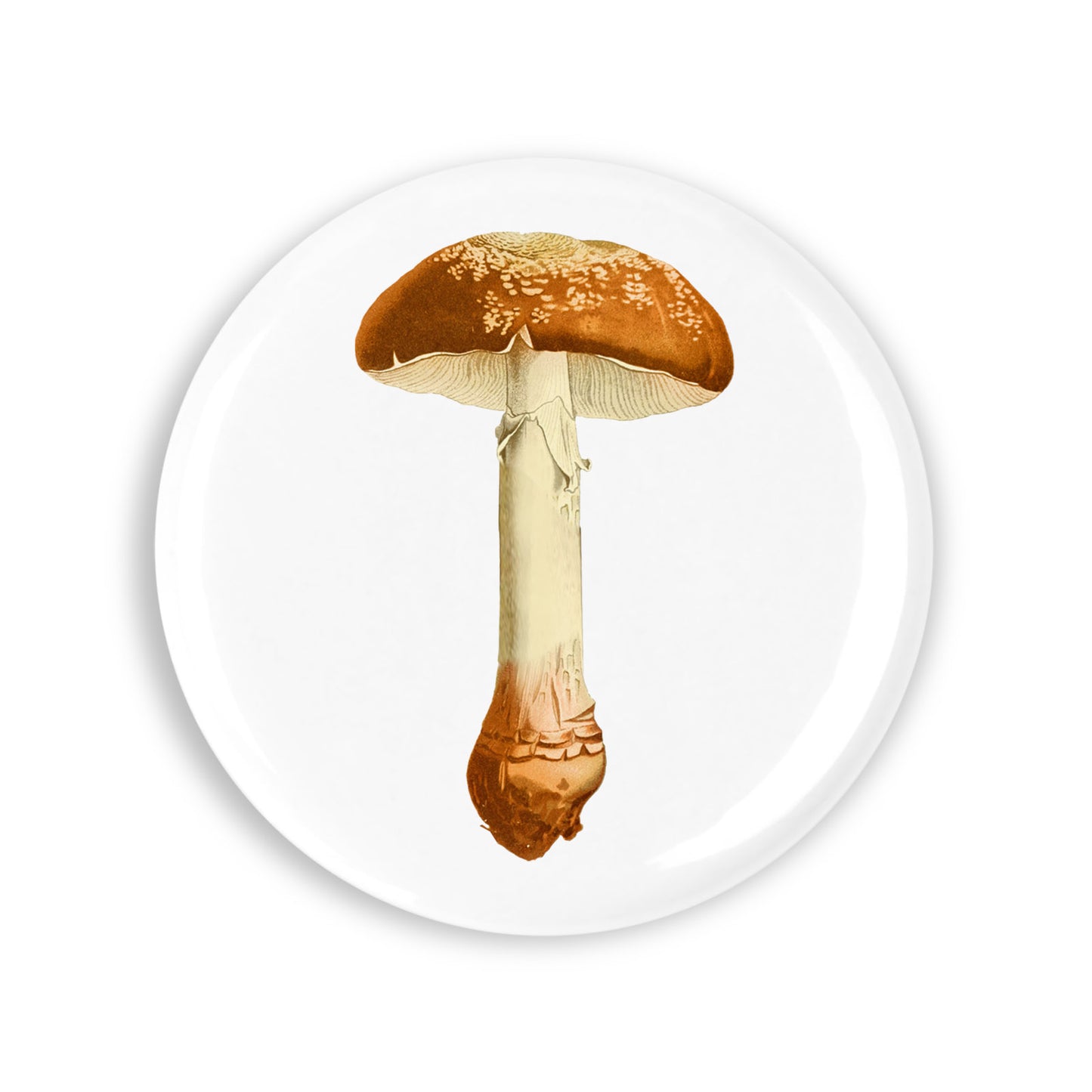 4951ec4a9a578f4bb53a11766881308c