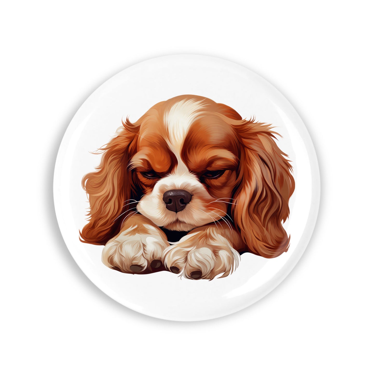 047e89a0df676538a8a5ae1b5ec6b25f