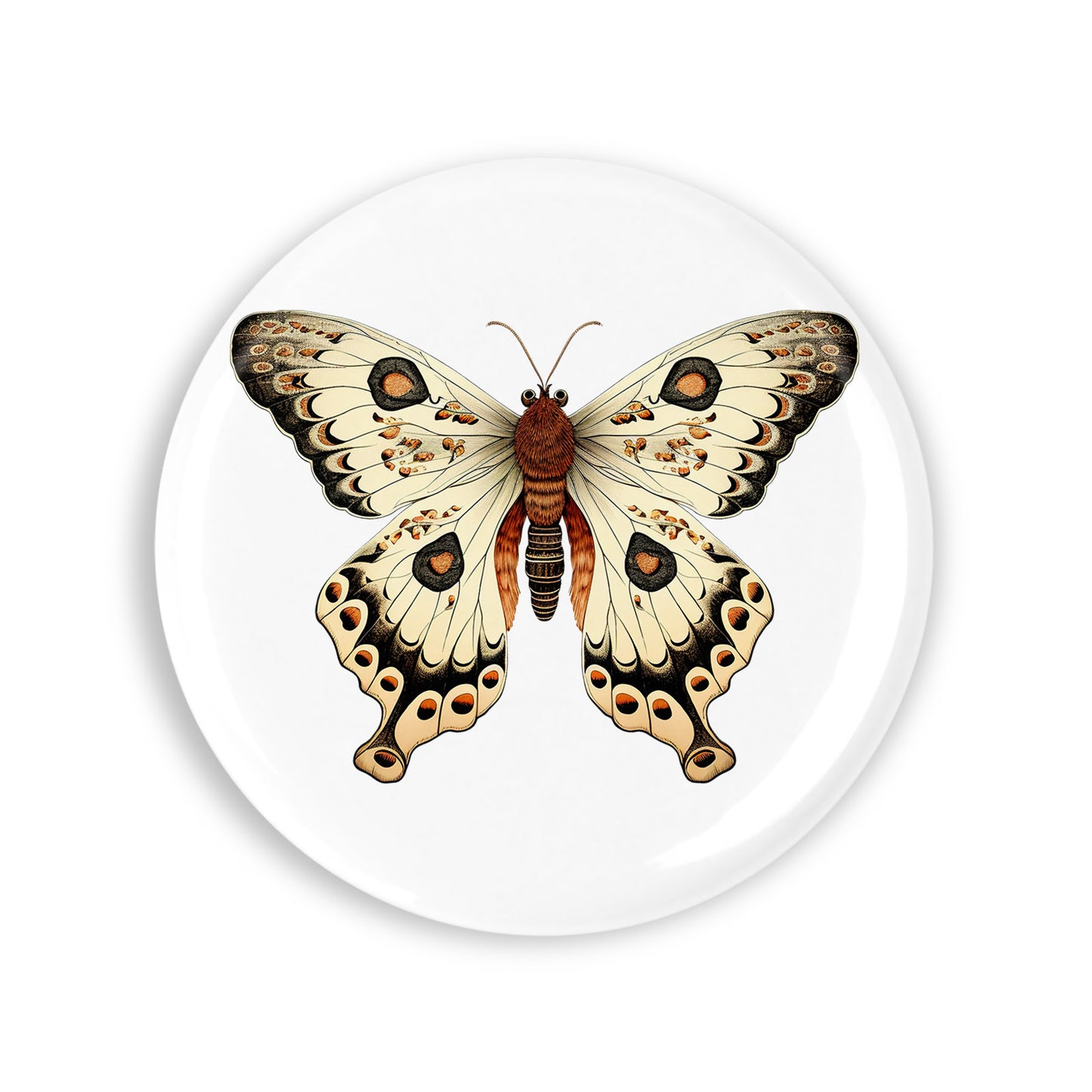 c75c0f4ec35a26b532cdee2b19a74b4e