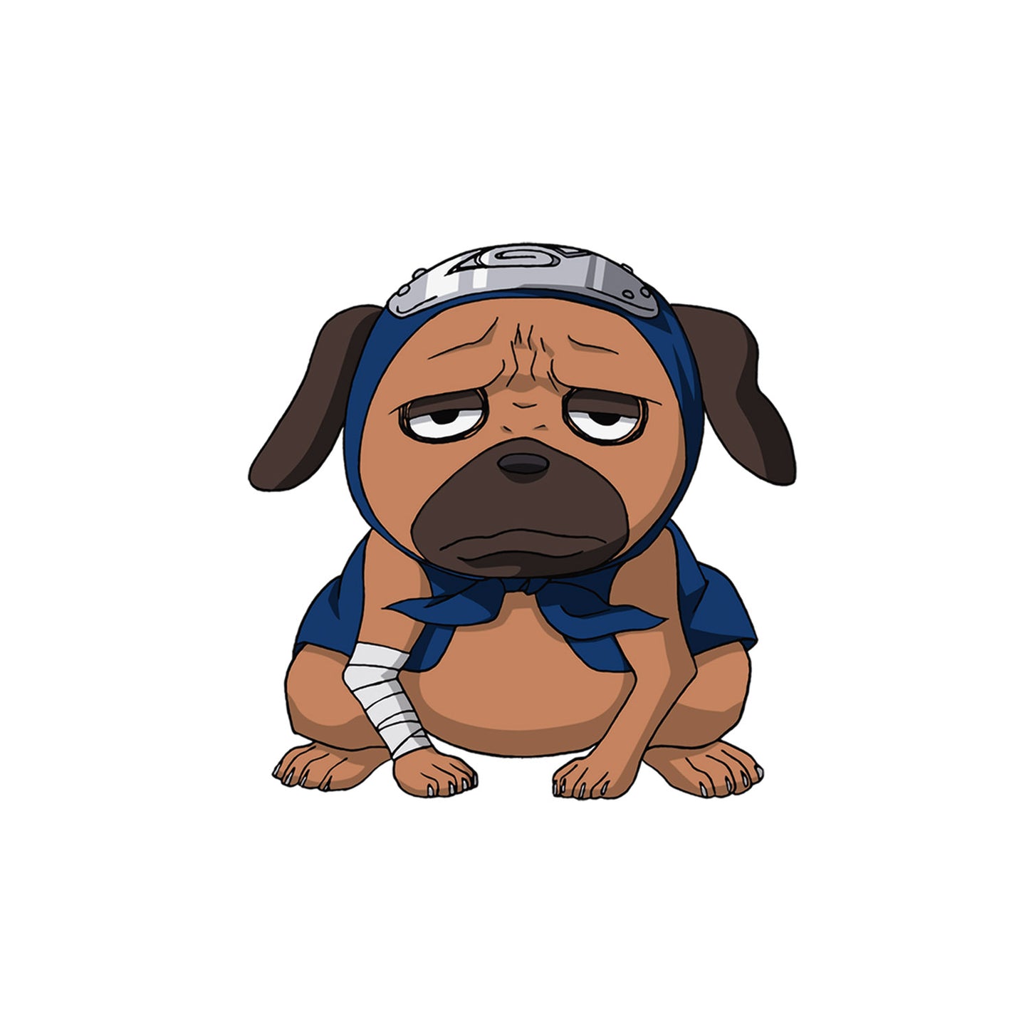 990de082e8d9b57f33c23f20d97ab3f5