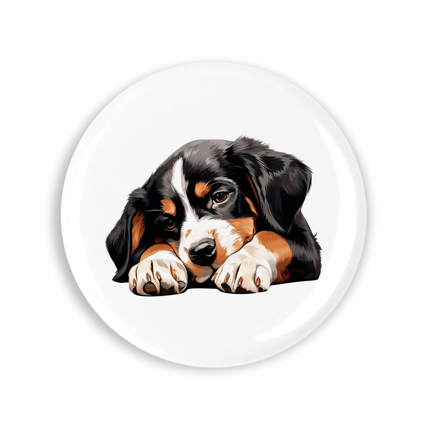 a50087ea6556d4db6ee05d76b61da29e