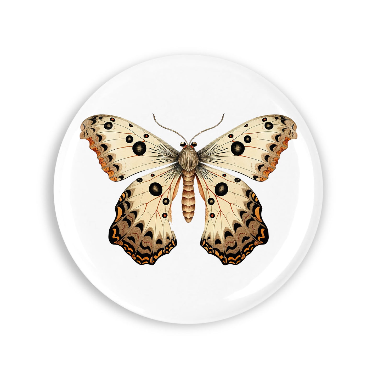 6e166b3735f1a52905b19e35057c8ecb