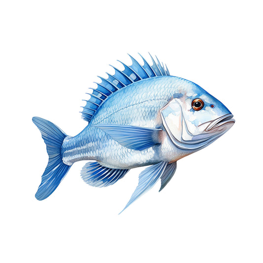 f95ae6d3ea115aa6d408b72466caf1b5