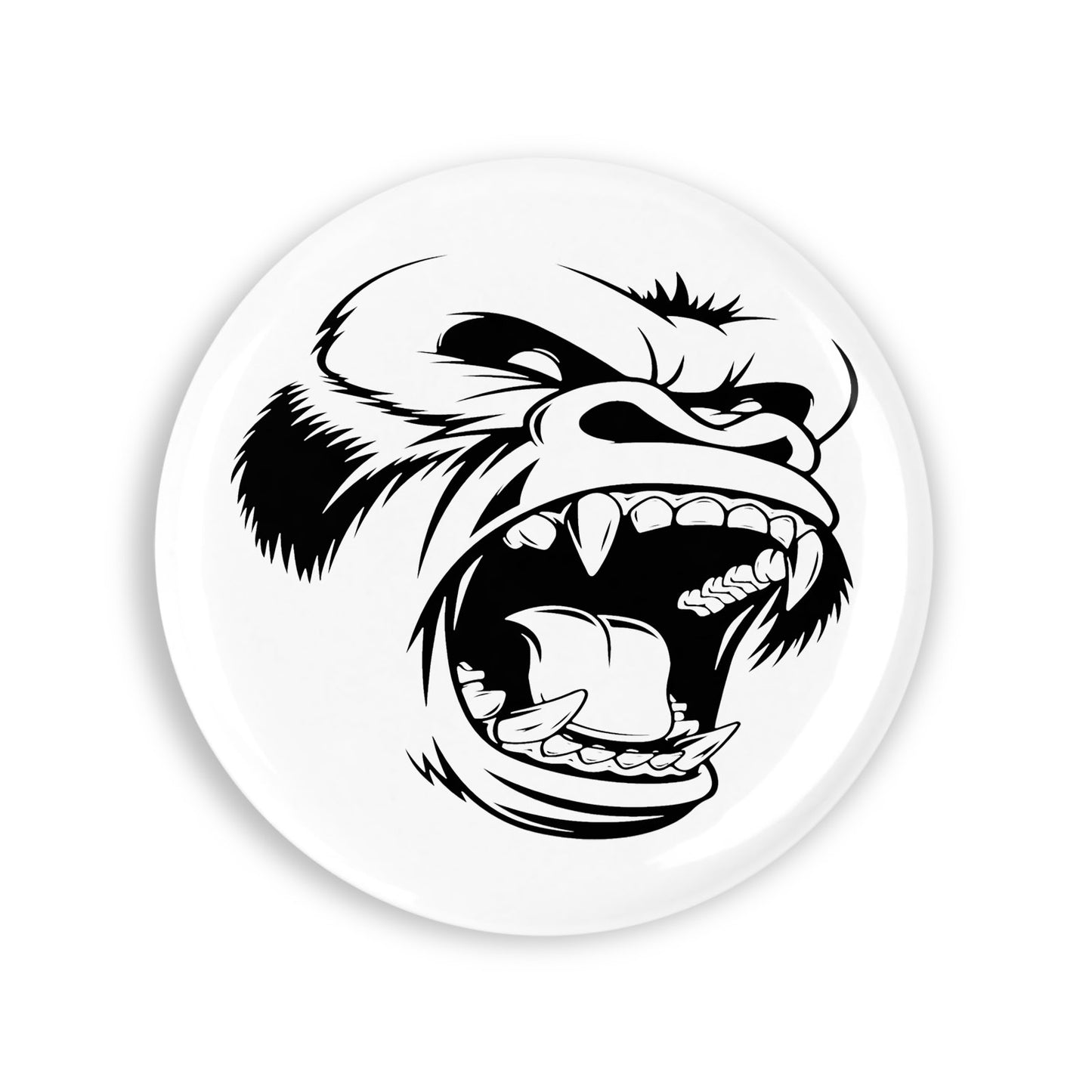 242078b13e0c30c4290eb75ed3318251