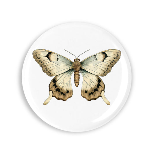 f0784325d9bc53932a6feeb90e3605c7