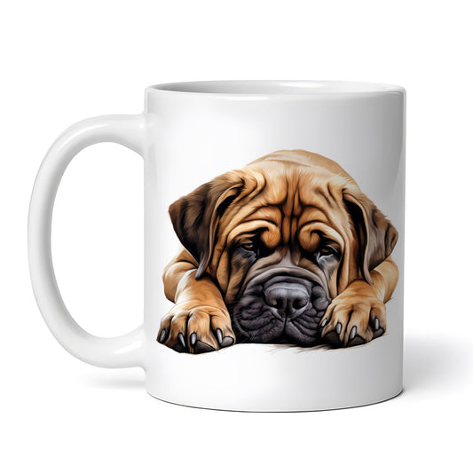 20b6d5af545ef2a14676e9a24ecaf0fc