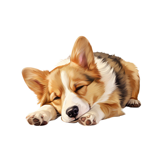 c1b9dbe9e564c1c1f4c50bd08ba5ab04