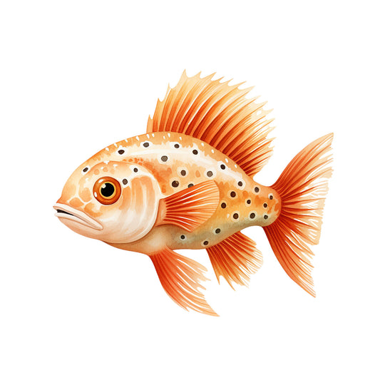 12373f8569f83eaf6e3a8c33e5435a84