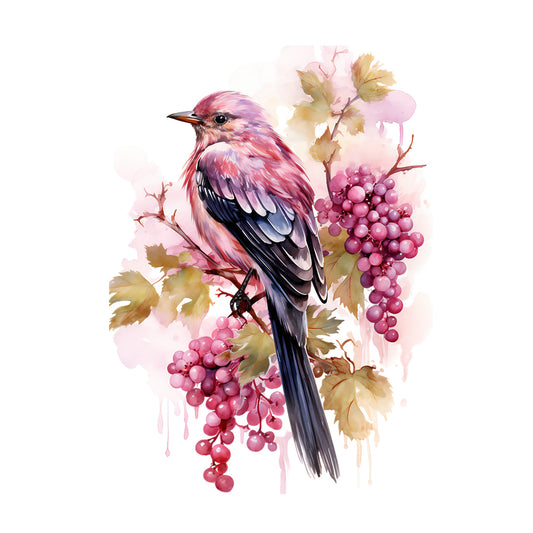 ec6a4de854e3905624243208ff584d7e