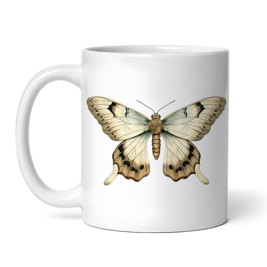 fedd8321ee2116e74887b239917acfd4