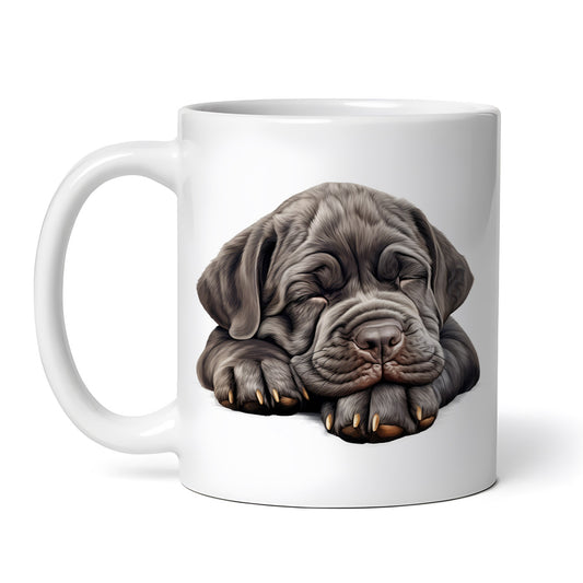 141074435f90e5056600fc7416d925bd