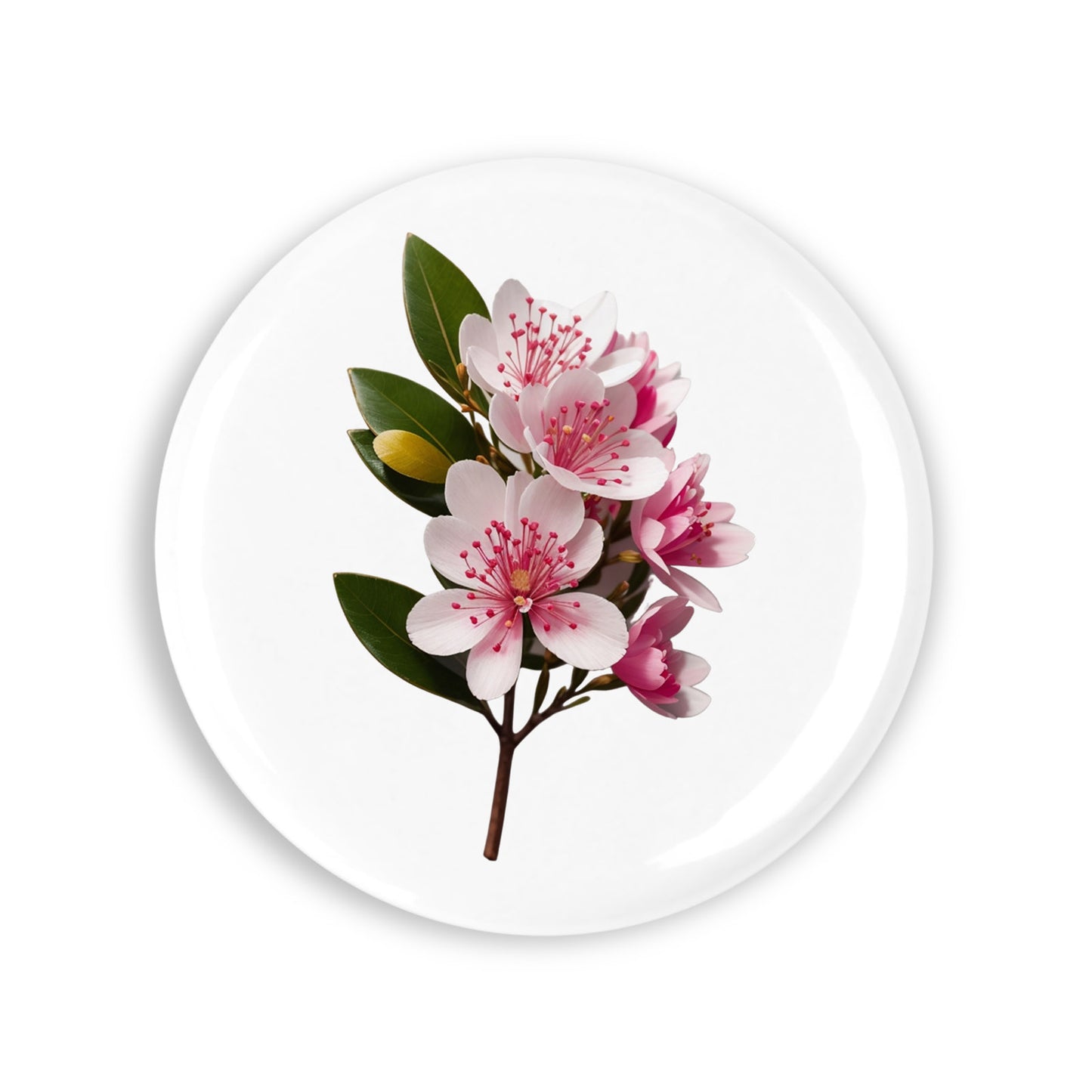 b18a23a2d69645ed6c7fa1734829ffa1