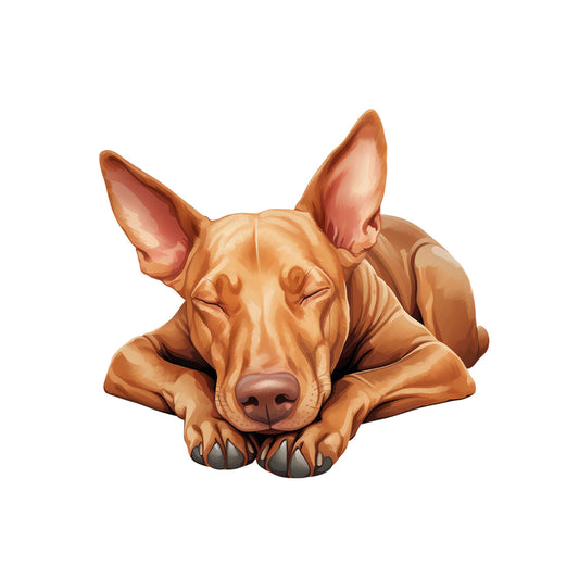 8cd8e05c2a1cb257f99674b40803f932