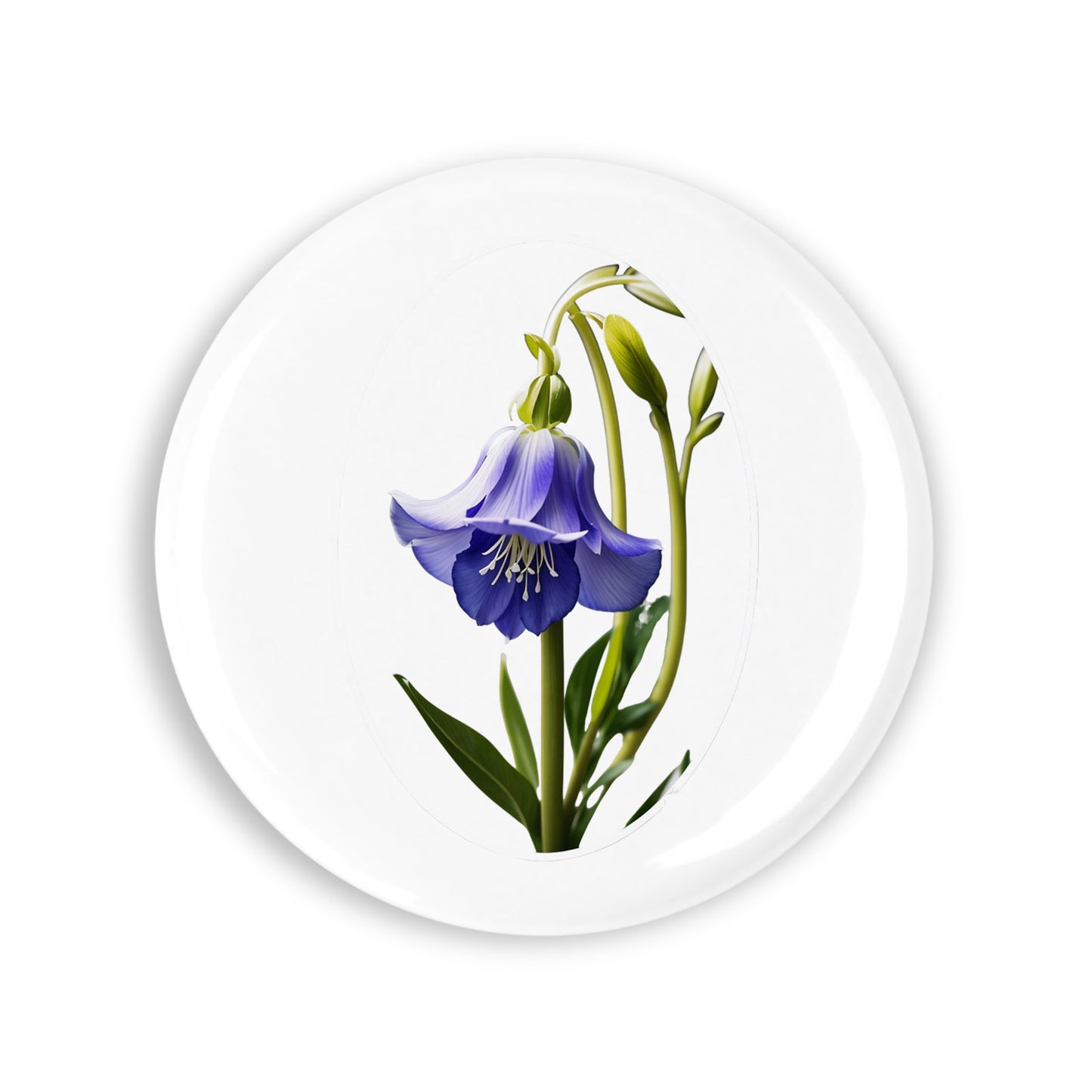 6c252ac70a8513d88f3c9f60256db4a6