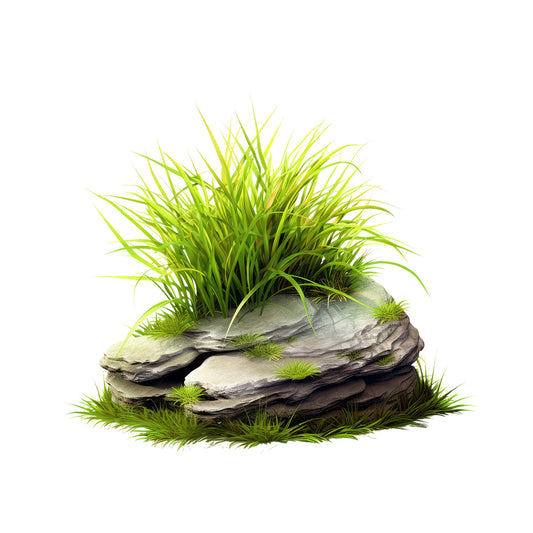 c14fb611238f555c93a4f47d71b5ac57