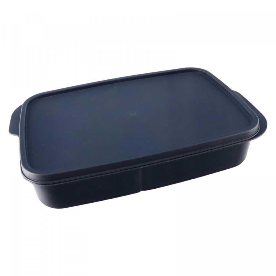 Caserola compartimentata cu capac ermetic, 3 compartimente, NO65, 23 x 15 cm, Negru