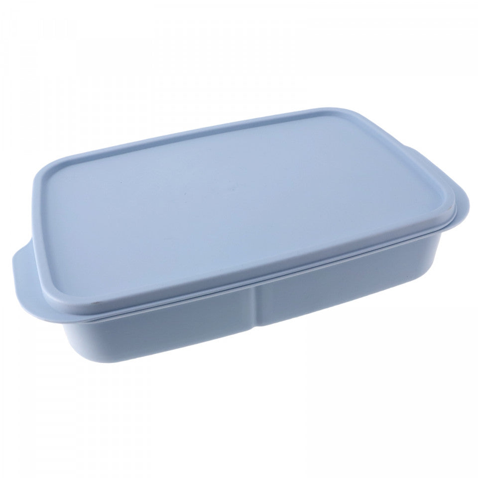 Caserola compartimentata cu capac ermetic, 3 compartimente, NO66, 23 x 15 cm, Albastru