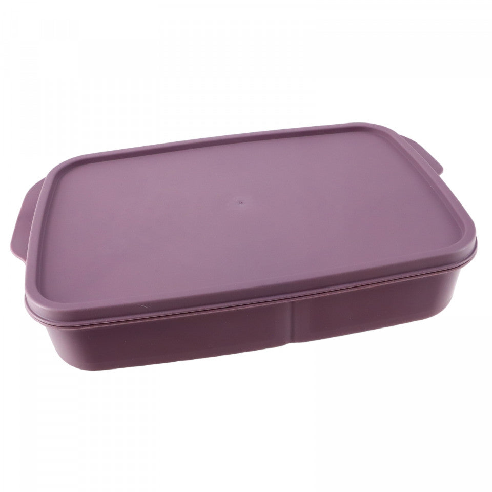 Caserola compartimentata cu capac ermetic, 3 compartimente, NO67, 23 x 15 cm, Mov