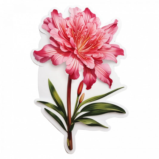 Set 12 bucati, Sticker decorativ, Floare de Nerine cu frunze, Rezistent la apa, NO3303, 6 cm, Multicolor