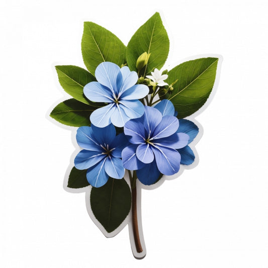 Set 12 bucati, Sticker decorativ, Floarea dragostei Plumbago cu frunze, Rezistent la apa, NO3431, 6 cm, Multicolor