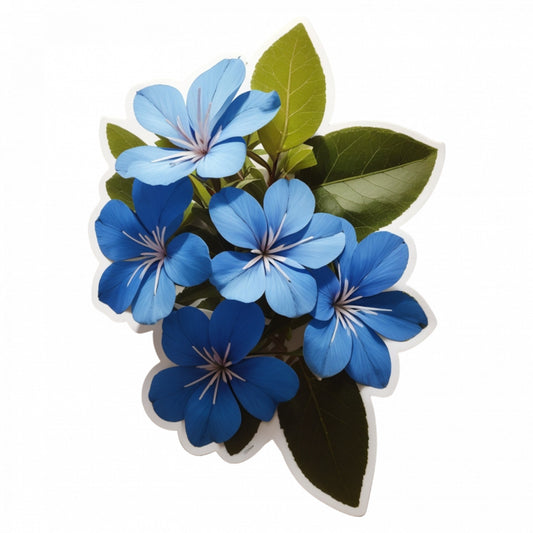 Set 12 bucati, Sticker decorativ, Floarea dragostei Plumbago,, Rezistent la apa, NO3432, 6 cm, Multicolor