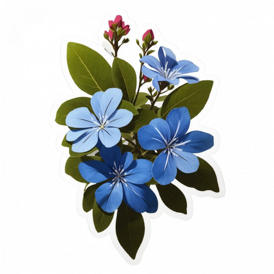 Set 12 bucati, Sticker decorativ, Floarea dragostei Plumbago,, Rezistent la apa, NO3434, 6 cm, Multicolor