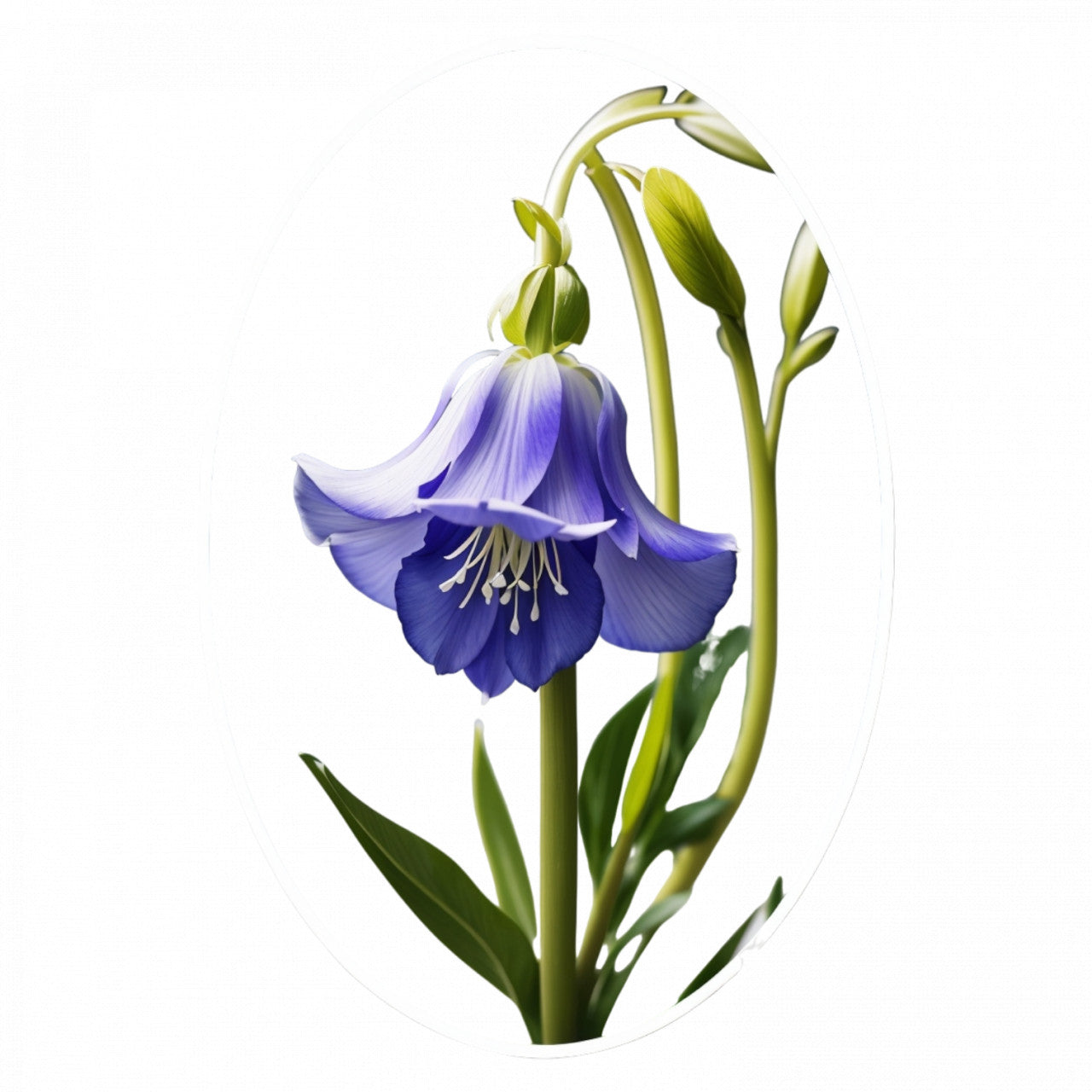 Set 2 bucati, Sticker decorativ, Floare bluebell, Rezistent la apa, NO4707, 16 cm, Multicolor
