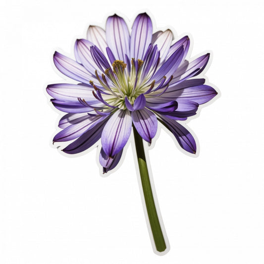Set 2 bucati, Sticker decorativ, Floare de Agaphantus, Rezistent la apa, NO4935, 16 cm, Multicolor