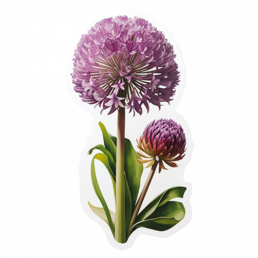 Set 2 bucati, Sticker decorativ, Flori de Allium, Rezistent la apa, NO4923, 16 cm, Multicolor