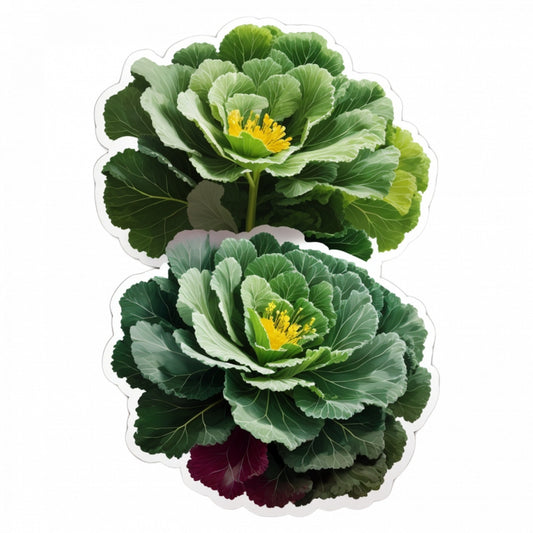 Set 2 bucati, Sticker decorativ, Flori de kale, Rezistent la apa, NO5457, 16 cm, Multicolor