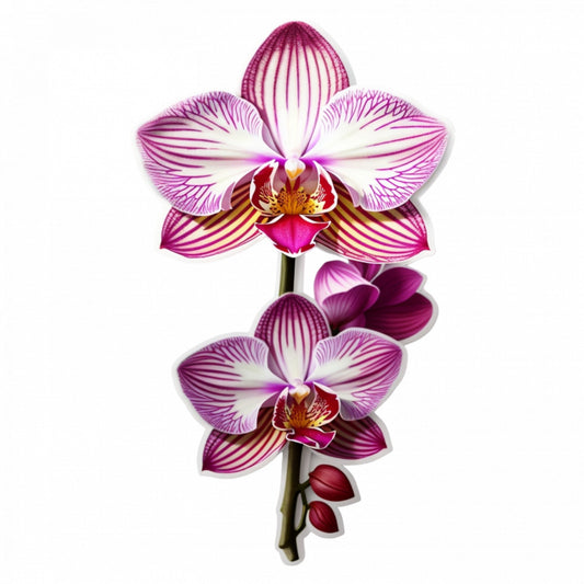 Set 2 bucati, Sticker decorativ, Flori de orhidee, Rezistent la apa, NO5688, 16 cm, Multicolor
