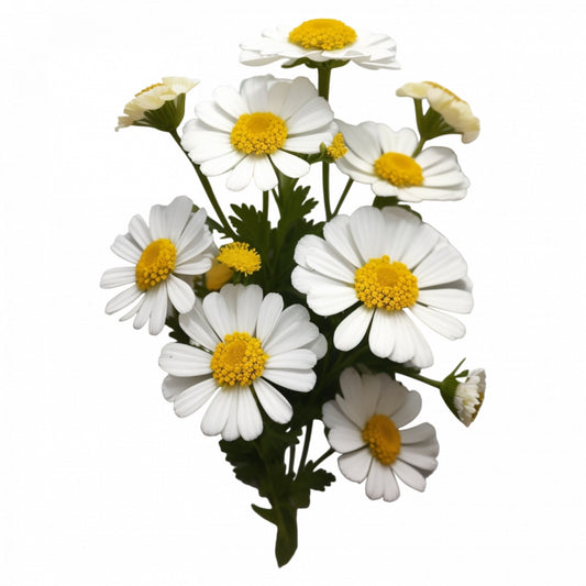 Set 2 bucati, Sticker decorativ, Flori de Spilcuta, Rezistent la apa, NO5250, 16 cm, Multicolor