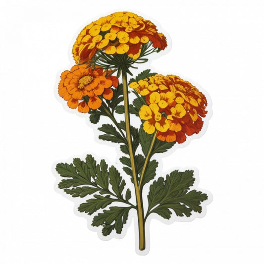 Set 2 bucati, Sticker decorativ, Flori de Tansy, Rezistent la apa, NO5981, 16 cm, Multicolor