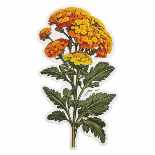 Set 2 bucati, Sticker decorativ, Flori de Tansy, Rezistent la apa, NO5982, 16 cm, Multicolor