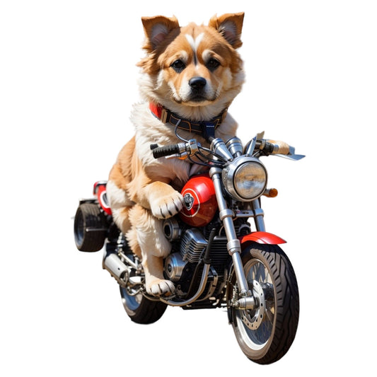 Set 3 bucati, Sticker decorativ, Catel pe motocicleta, Rezistent la apa, NO2136, 6 cm, Multicolor