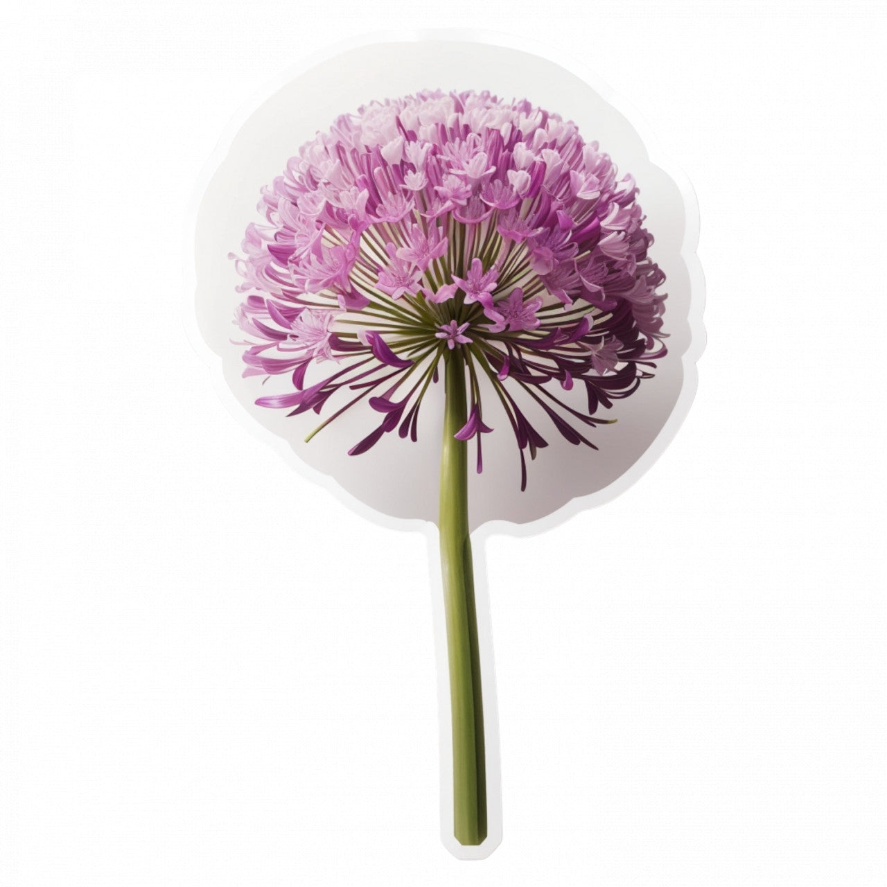 Set 3 bucati, Sticker decorativ, Floare de Allium fara frunze, Rezistent la apa, NO220, 6 cm, Multicolor