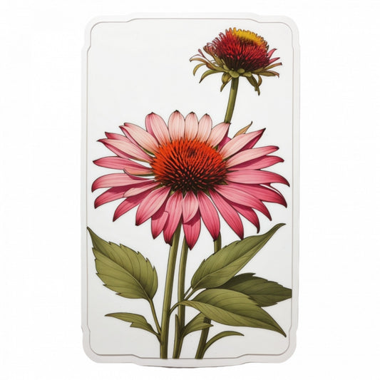 Set 3 bucati, Sticker decorativ, Floare de echinacea cu boboc, Rezistent la apa, NO509, 6 cm, Multicolor