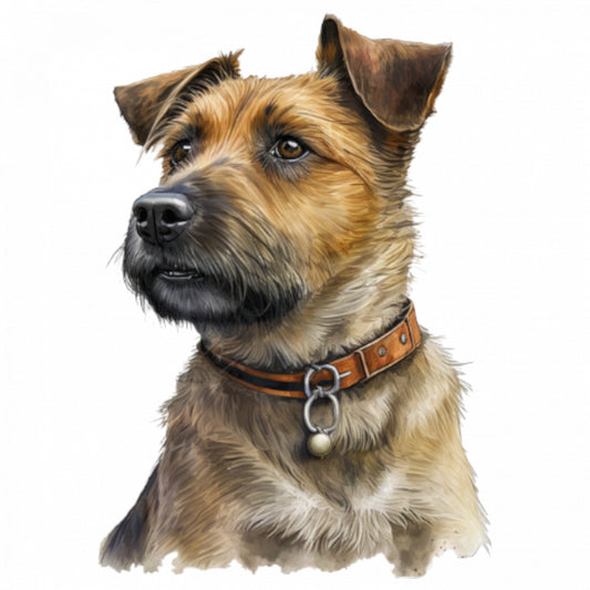 Set 4 bucati, Sticker decorativ, Caine rasa Border Terrier, Rezistent la apa, NO8694, 10 cm, Multicolor