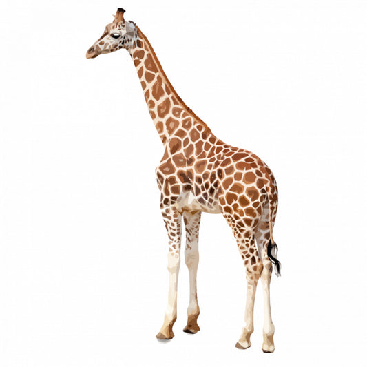 Set 4 bucati, Sticker decorativ, Girafa de Nord camelopardalis, Rezistent la apa, NO9423, 10 cm, Multicolor