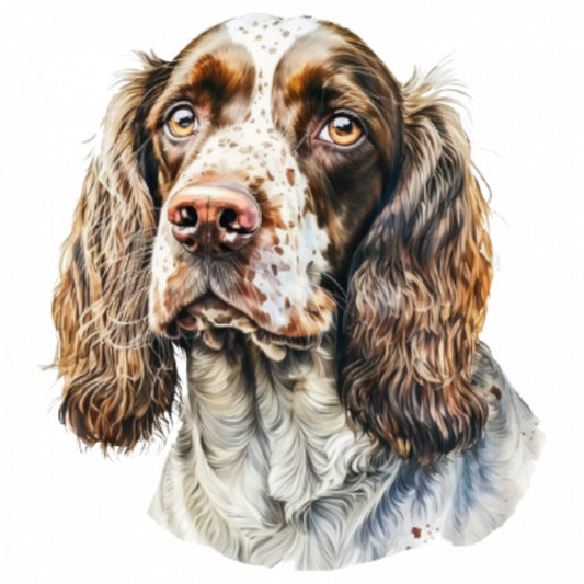 Set 4 bucati, Sticker decorativ, portret Springer Spaniel englez, Rezistent la apa, NO7705, 10 cm, Multicolor